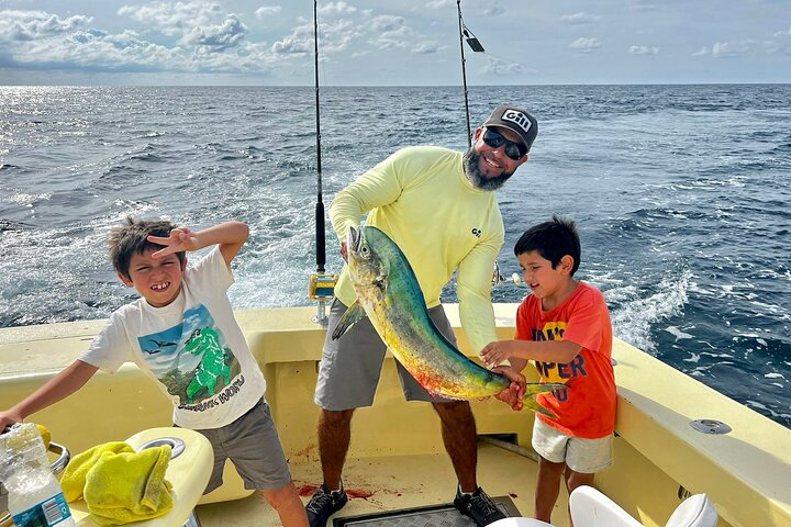 mahi mahi